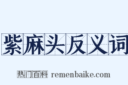 紫麻头反义词是什么意思的图片